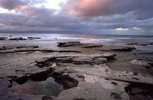 Mahia