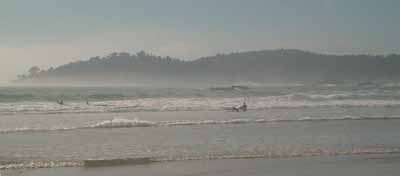 Carmel Beach