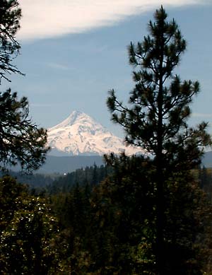 mt hood