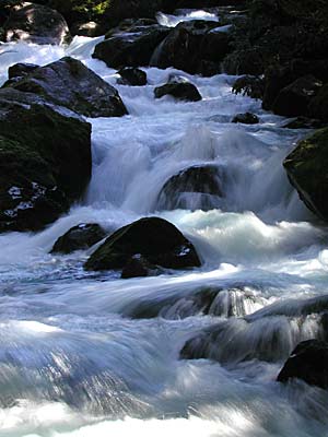 Wasser