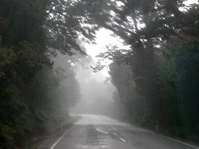 Regen 