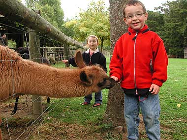 Lama