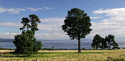 Taupo