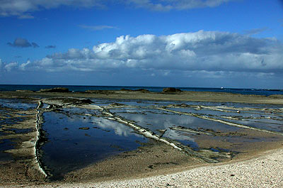 Meer