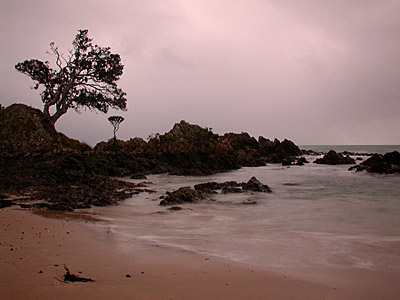 meer