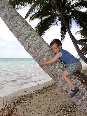 Noah klettert