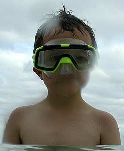 Noah taucht