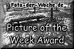 Picture of the Week